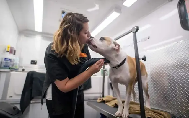 Wags on Wheels Mobile Dog Grooming in Sartell, MN