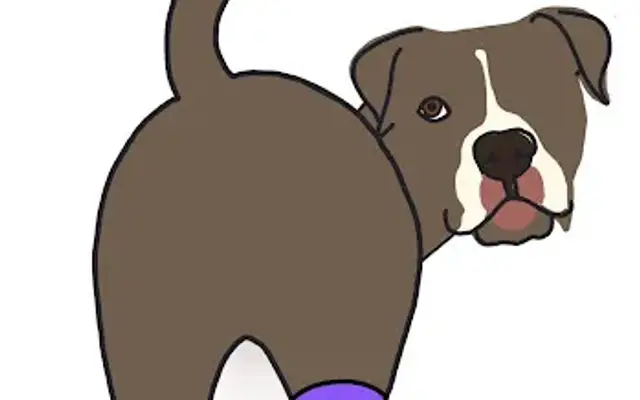 Family Tails Mobile Pet Grooming in Allentown, PA