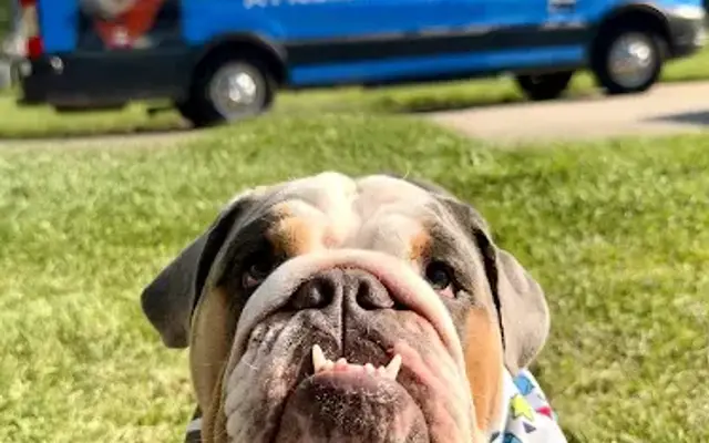 Zoomin Groomin in Rochester Hills, MI
