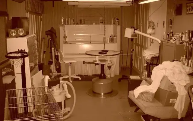 TK's Dog Grooming in Niles, MI