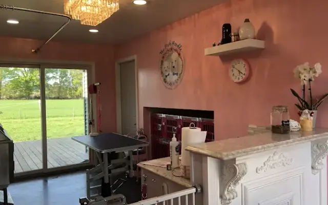 The posh poodle grooming salon in Ionia, MI