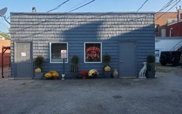Dogs and Cats on Main in Vermilion, OH
