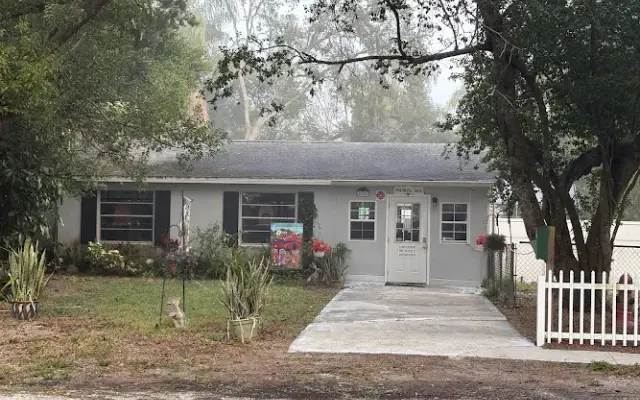 Animal Inn of New Port Richey in New Port Richey, FL