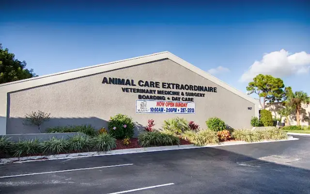Animal Care Extraordinaire in Stuart, FL