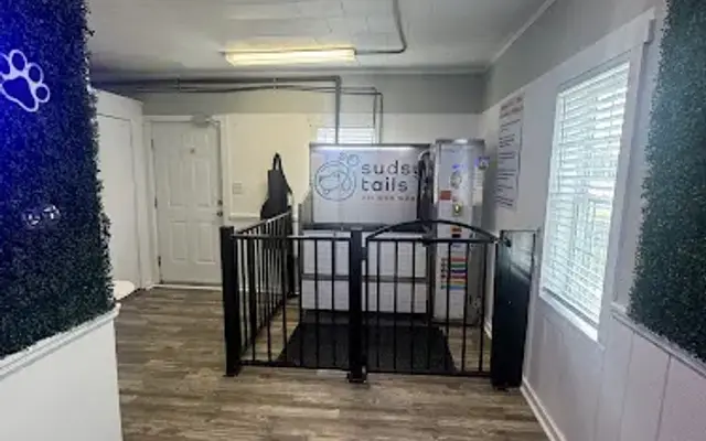 Sudsy Tails DIY Dog Wash in Hampstead, NC