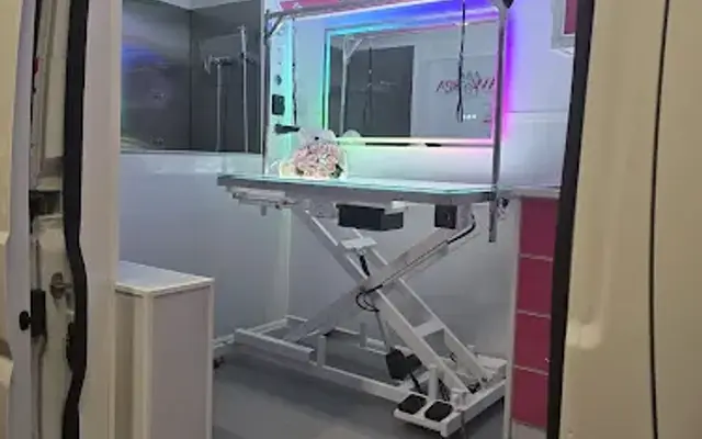 Le Paw Spa Mobile Dog Grooming Central Florida in Davenport, FL