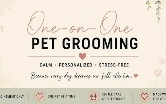 Johnson Paws Grooming in Ashland, MO