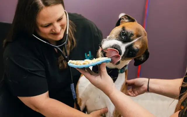 PetVet365 Pet Hospital Louisville / Jeffersontown in Louisville, KY