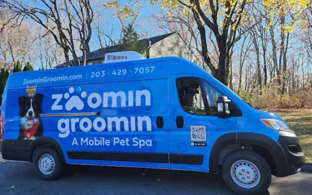 Zoomin Groomin in Trumbull, CT