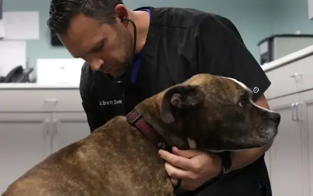 Trinity Veterinary Hospital in Greenville, NC