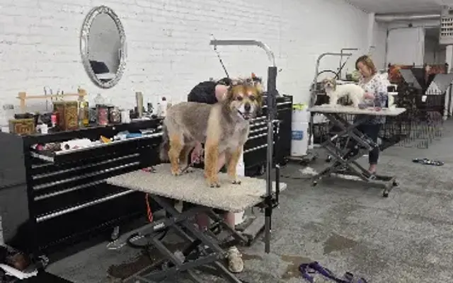 The Groomery in Charlotte, MI
