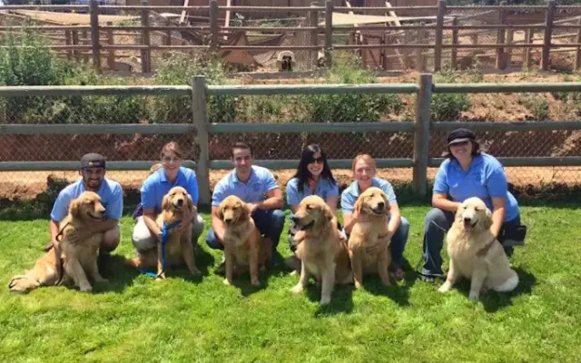 Margale Pet Resort in Vista, CA