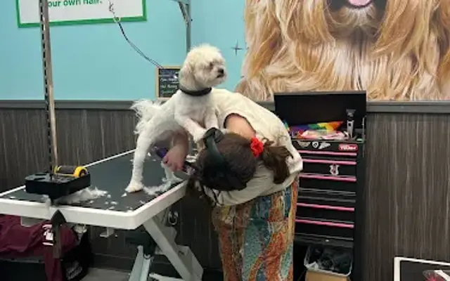 Pet Supplies Plus Marshfield Grooming in Marshfield, WI