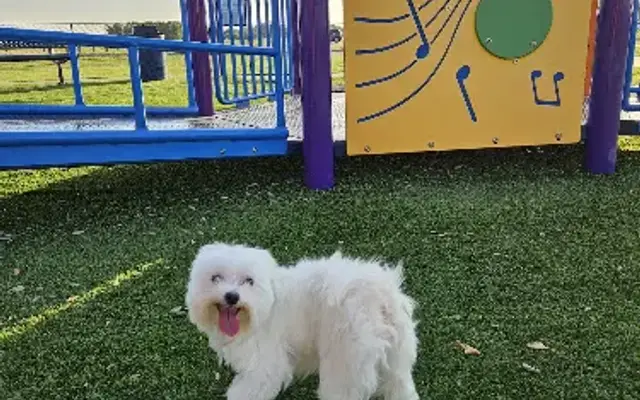 Dawn’s Paw Spa in Greenville, TX