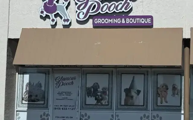 Glamour Pooch Grooming Boutique in El Paso, TX