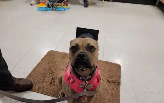 PetSmart Grooming in Eagan, MN