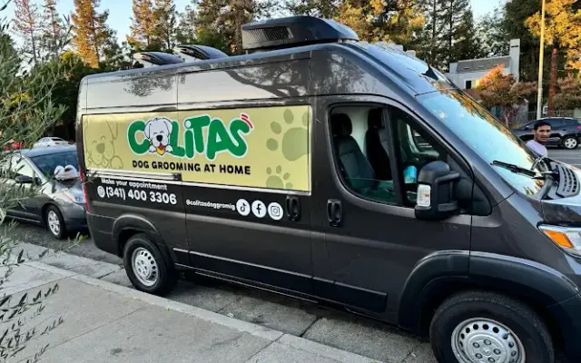 Colitas Dog Grooming at Home in San Leandro, CA