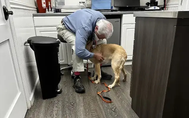 Brook Farm Veterinary Center in Patterson, NY