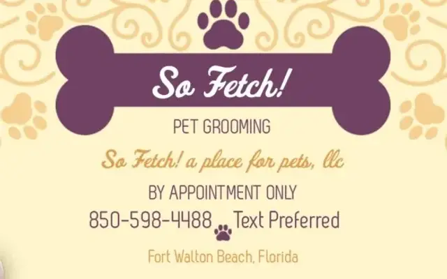 So Fetch! A Place for Pets - Pet Grooming in Fort Walton Beach, FL
