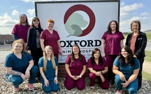 Oxford Animal Hospital, A Thrive Pet Healthcare Partner in Overland Park, KS