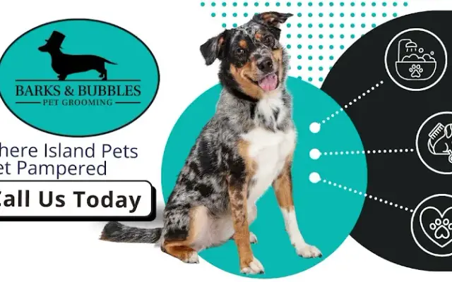 Bark & Bubbles Pet Salon in St Simons Island, GA