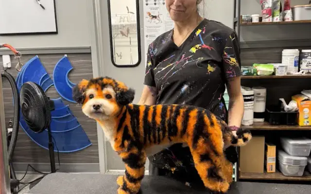 Pet Supplies Plus Sheboygan Grooming in Sheboygan, WI