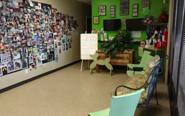 Dog School 101, Inc. in Marietta, GA