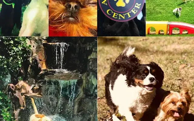About Pets Center in Salem, VA