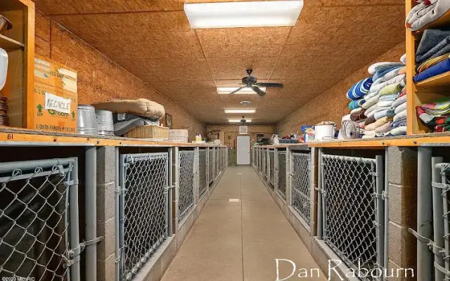 K-9 Kennels Boarding-Grooming in Grant, MI