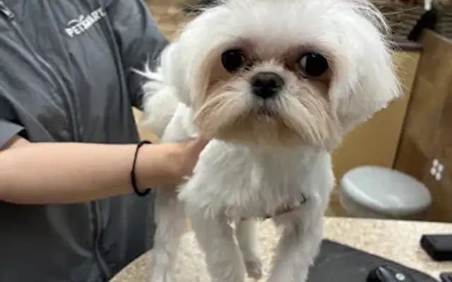 PetSmart Grooming in Tulsa, OK