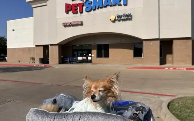 PetSmart in McKinney, TX