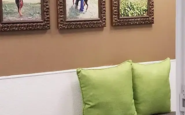 K9 City Play 'n Stay in San Juan Capistrano, CA