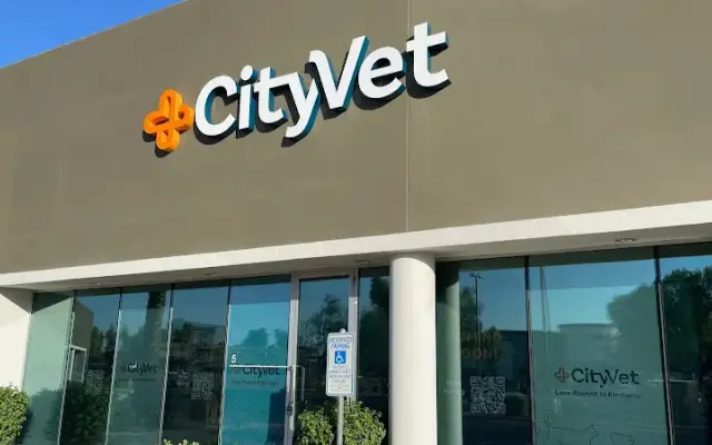 CityVet | Goodyear in Goodyear, AZ