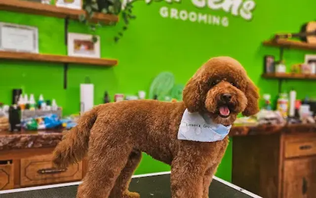 Larsen's Grooming in Ozark, MO