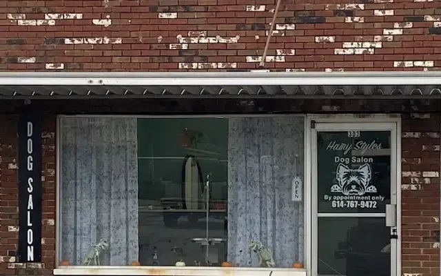 Hairy Styles Dog Salon in Mt Sterling, OH