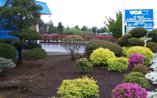VCA 12-Mile Animal Hospital in Gresham, OR