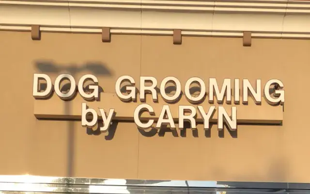 Dog Grooming By Caryn in Bellaire, TX