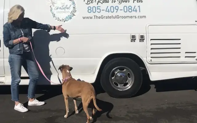 The Grateful Groomers in Westlake Village, CA