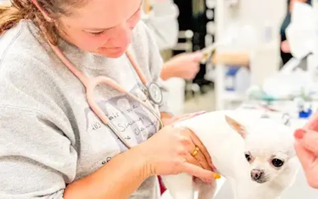 Floral Parkway Animal Hospital in Wilmington, NC