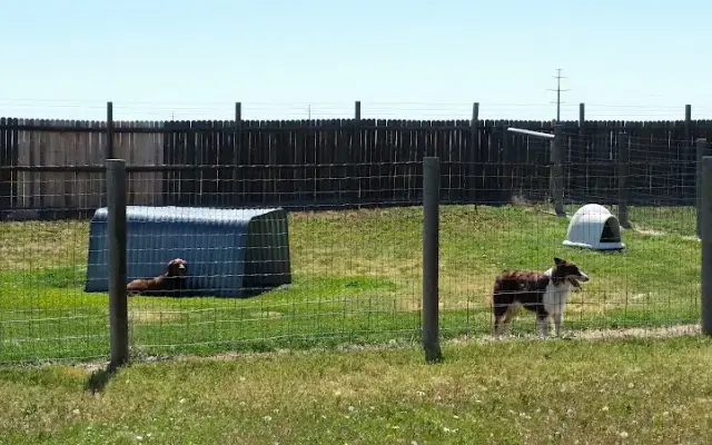 Barcar Acres Pet Resort in Berthoud, CO