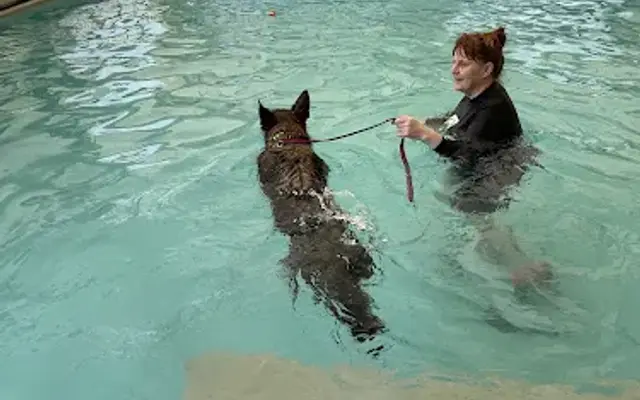 Happy Tails Resort & Spa in Auburn, WA