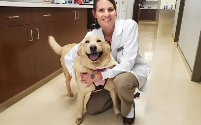Murphy Animal Hospital in High Ridge, MO