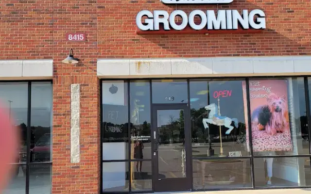 Natural Grooming in North Richland Hills, TX