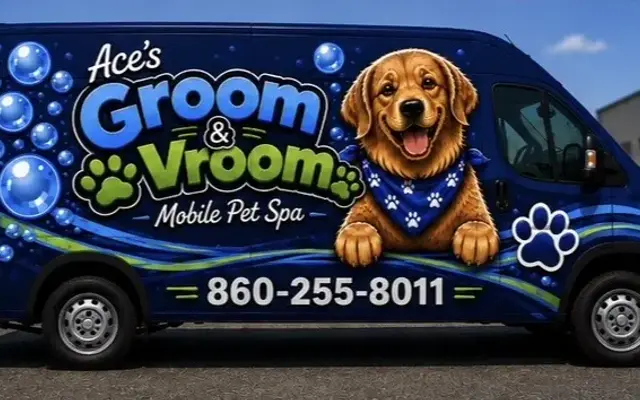 Groom and Vroom in Plainville, CT