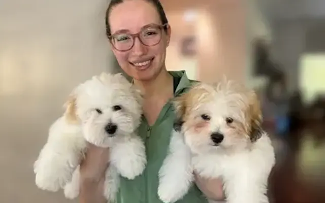 Grooming By Stephany LLC in Goose Creek, SC