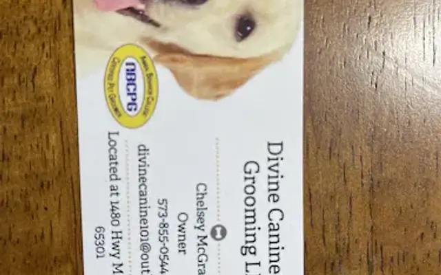 Divine Canine Dog Grooming LLC in Windsor, MO