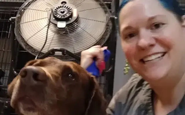 Momma's Spot-on Pet Grooming in Henderson, NV