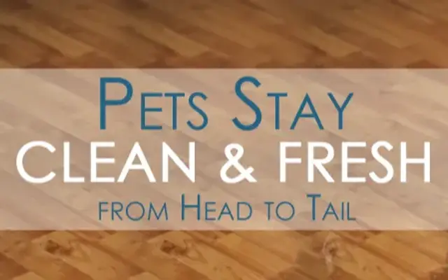 Mobile Pet Wash, Inc. in Hammonton, NJ
