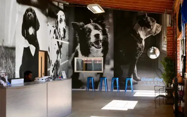 Down Dog Lodge in El Segundo, CA