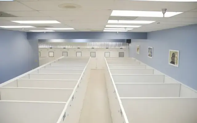 The Parc Pet Suites, Sports & Spa in Longwood, FL